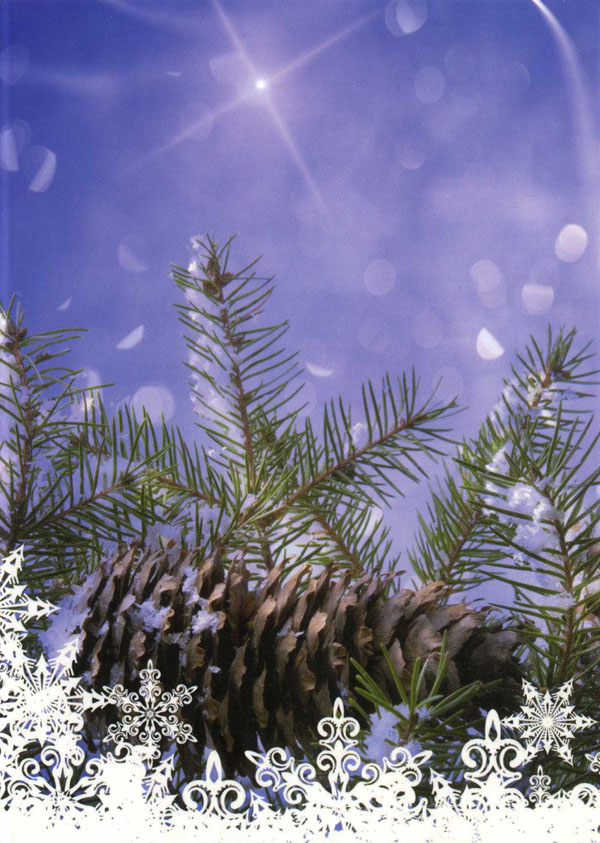 Pakalpojumi Kalenderland lv